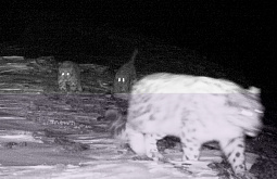 ����� � ������ �������� ����� �������� � ����������� � ������� (����)