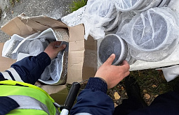 � ��������� ������� ��������� ������ ������ ����