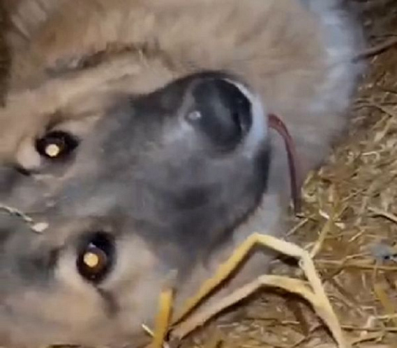 � ����-��� �������� ������ � ������ � ������ ����� �����