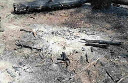 � ������� �������� ������� ������ ����� 