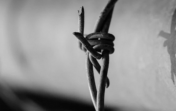 �����������, ������������� � ��������, ������ ������� 