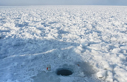 � ������� �������  � �������� ������� � 17 ��������