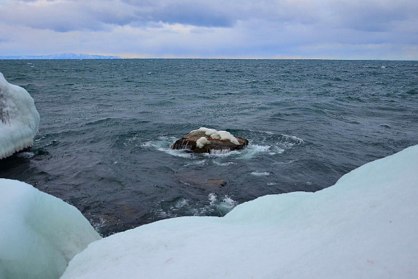 ���������� ������ ����� �� ���� ������� �� ����� �� �������� ���������� 