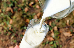 � ������� ������ 410 �� ������������ �������� ��������� 