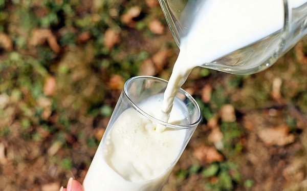 В Бурятии изъяли 410 кг просроченной молочной продукции 