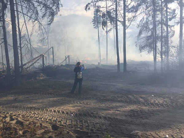 ������ � ������: ������� ���������� ������� ������ � �������� � ������������ 