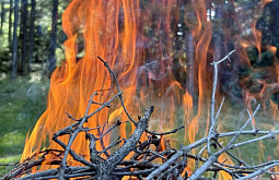 � ������� ����������� ������������� ���� 265 ���������������