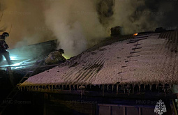 � ���������� �� ���� �� ������� ������� ������� ����������� 