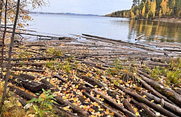 � ��������� ������� �� ������������� ��������� 372 ��������� ���������