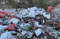 � ����-��� �������������������� ����������� ��������� ������ ���� �������