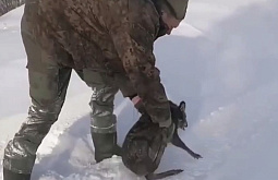 � ���������� ����� ��������� ������� �� �����  