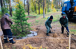 � ������ ����-��� ���������� ����� 