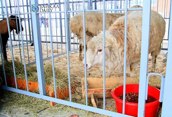 ��������� ������ �� ���������� ��������� ��������� �����