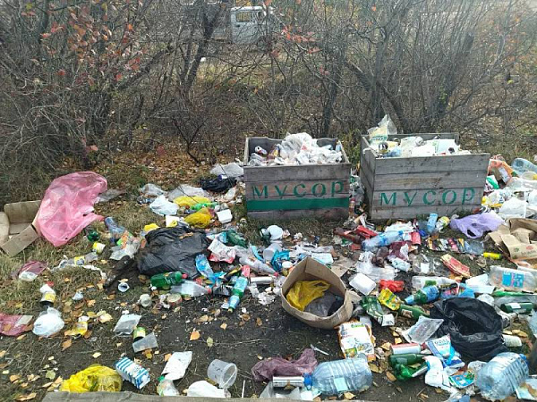 В Бурятии на берегу реки собрали тонну мусора 