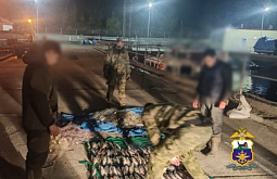 � ������� ����� ������ ����������, ��������� ����������� 98 ������