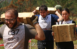 ������ ������ � ����-���: 7 ���������� ����� � ������ (������������)