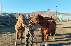 ��� ���� ������� ��� �� ������� ������� ����� �� �������� ��������� 