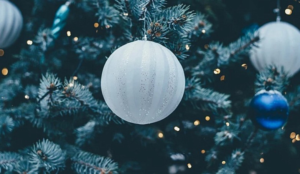 � ������� ���� ����� �� ����� ���� 