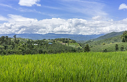 �������� ������� ����� ��������� ������ ����� 