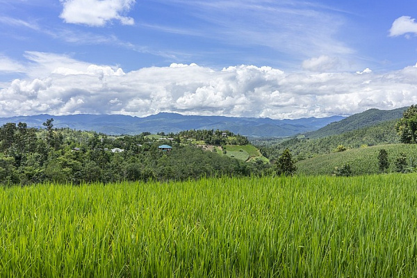 �������� ������� ����� ��������� ������ ����� 