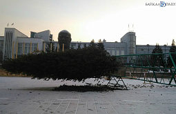 � ������ ����-��� ������ ������� ������������ ������ 