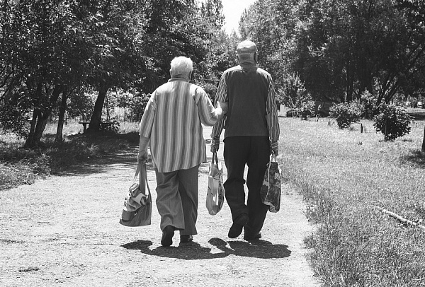 � ������ ������� ������� � ��������� ����������� ��������