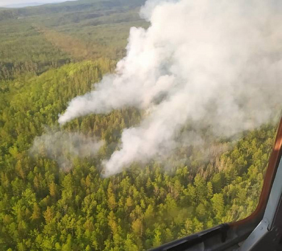 � ������� �������� ���� ������� ������ ����� �� ���� 