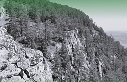 Суровый климат и рёв изюбря: Каким был Ольхон 40 лет назад