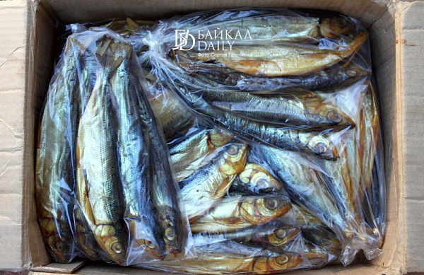 ������� ������� ��������� ������ �� ������� ������ 20-������������� ������