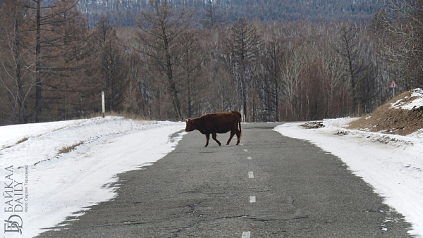 � ������� �������� 14 ��������������� ������� �� �������� ��������