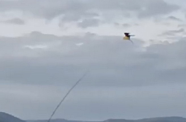 �������� ����-��� ������� ����� ������������ ��� ����������� ����