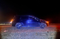В Бурятии два автомобиля въехали в одну лошадь