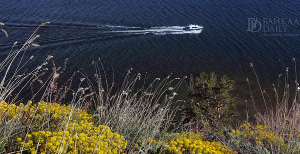 � ������� �� ������ ������� ������ ������ ������� � ���������