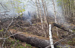 В Бурятии гроза вызвала лесной пожар в заповеднике 