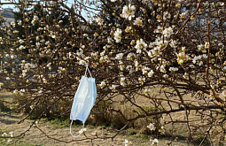 � ������� ����� ������� ����������� ������������� ������� �� 325