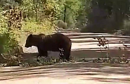 � ������� ������� ��������� � ���������� ������� 