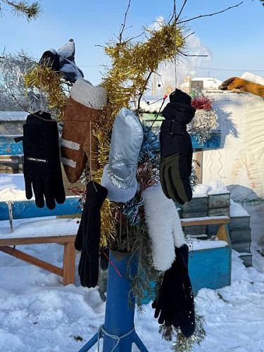 � ������ � ������� ��������� ���� �� ������� 