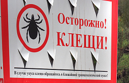 ����� ������ ��������� ���������� ������� �������