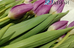 ��� ������ �������?�: � ����-��� ����� 8 ����� ��������� ���� �� ��������