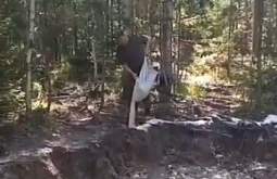 ���������: � ������� ������� ���� ��� ���������� ��������� 