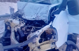 ������ ����-������� ����������� � ����� � ����������