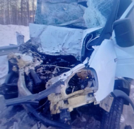 ������ ����-������� ����������� � ����� � ����������