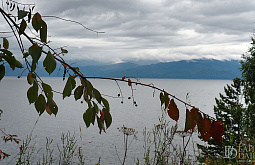 ����� ���� �������� � �������