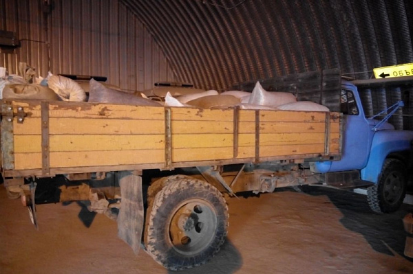 Двое жителей Бурятии украли 3 тонны кедровых орехов