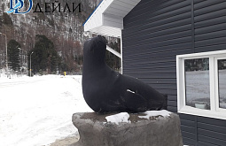 ��������� ����� ���� ���� ����� ������� ������������ ������ ��� ����� ����