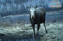 ����������� ����� ���� � ����������� � ������� 