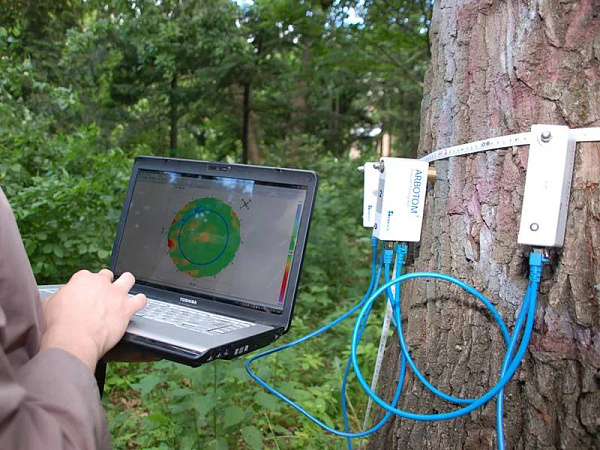 � ��������� ������� ������������ ���� �������� ����������� 5 ��� ������ 