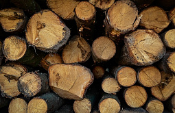 � ������� ��������� ������������ ������ �������� ��� ��������� 