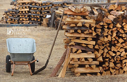 Житель Бурятии украл дрова 