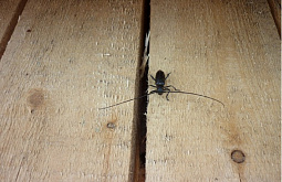 �� ������� ���� �� ��������� ��������� ��������� � �����